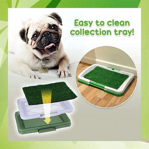 Pet Dog Toilet Mat Indoor Restroom Training Grass Potty Pad Loo Tray Large Puppy - Image 5