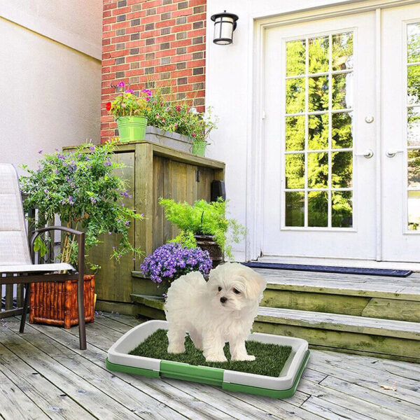 Pet Dog Toilet Mat Indoor Restroom Training Grass Potty Pad Loo Tray Large Puppy - Image 3